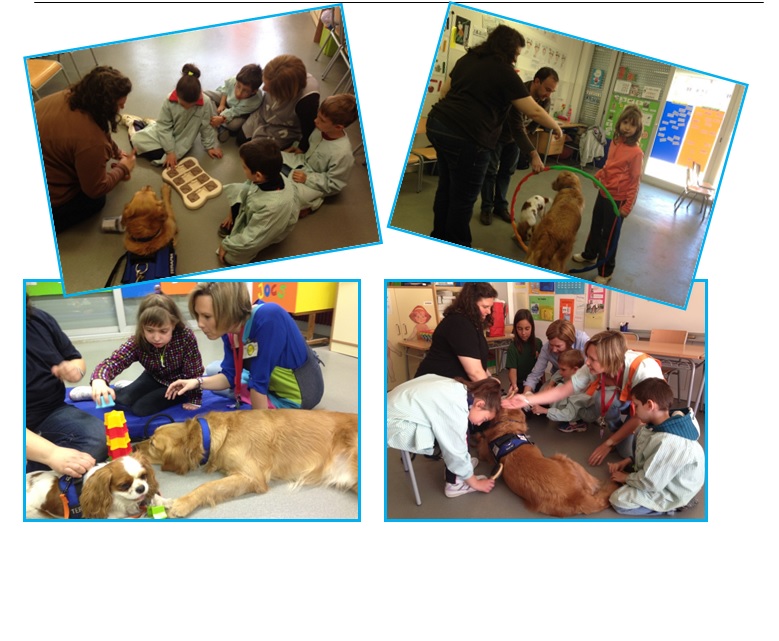 Animal Assisted Education